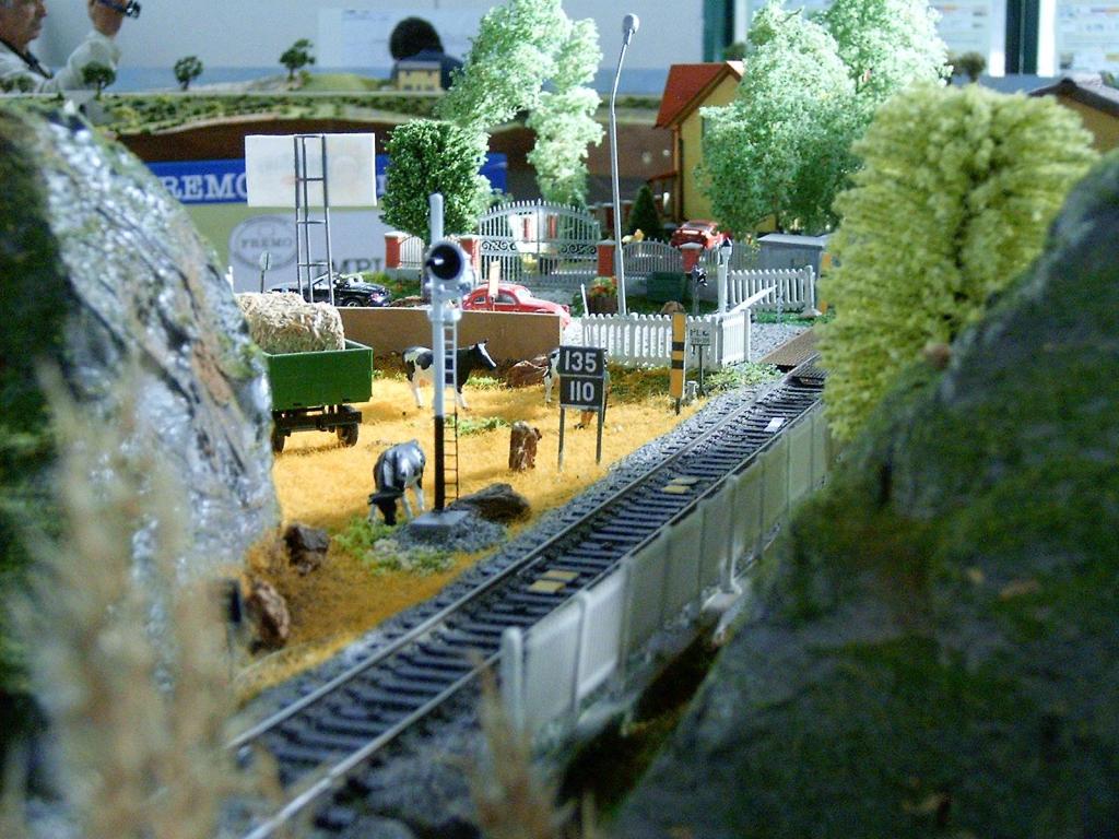 Foto 57.JPG