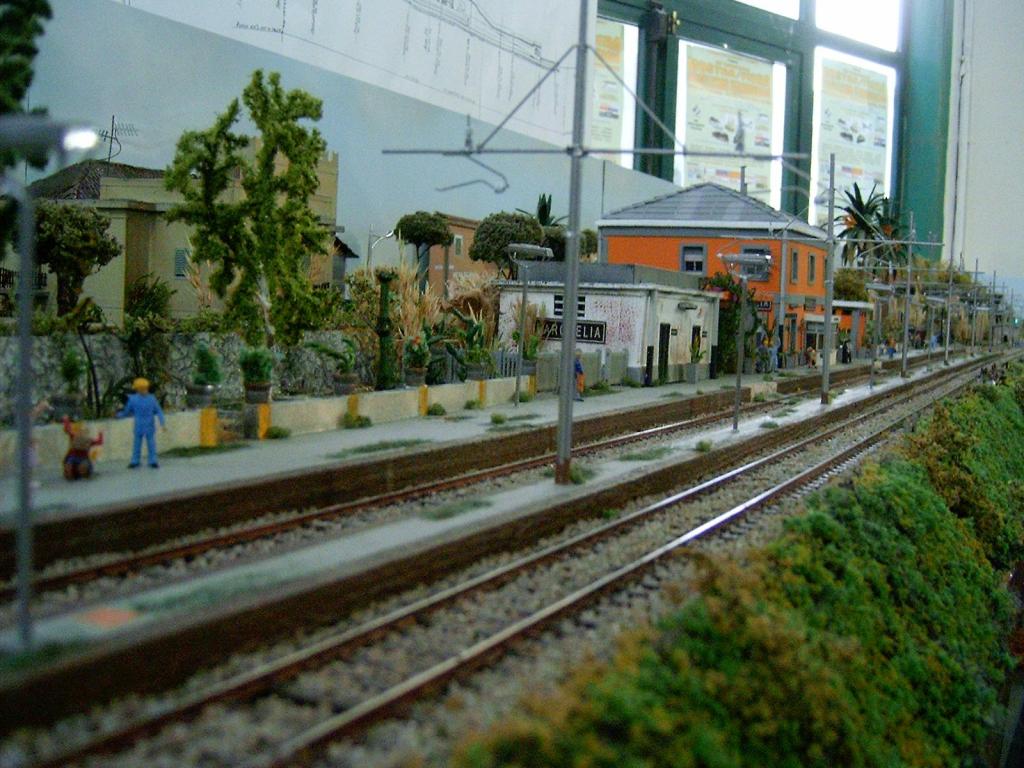 Foto 13.JPG