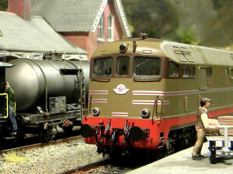 342.jpg