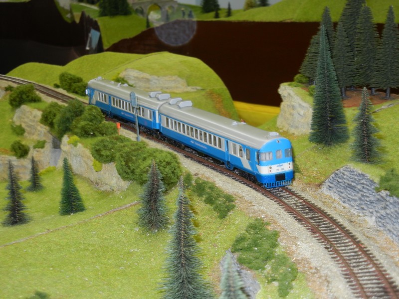 dscn2584.jpg