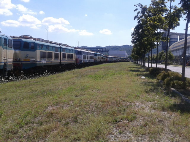 caimani in attesa.jpg