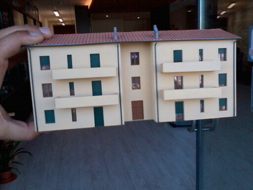 gatto michele 363.jpg