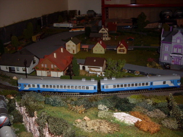 sdc16767y.jpg