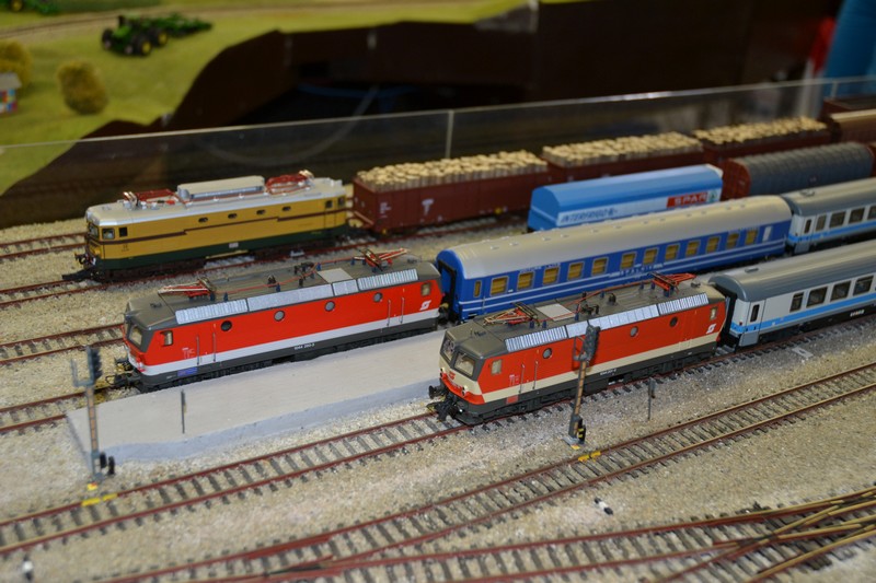 dsc0124.jpg