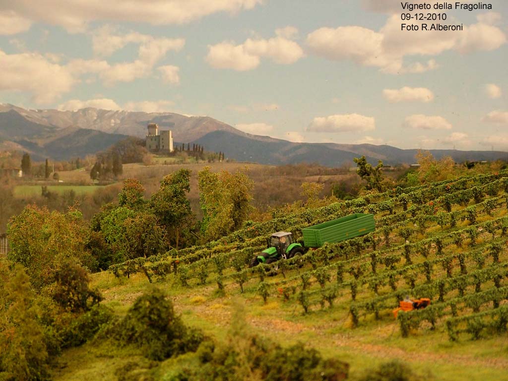 Vigneto 01.jpg