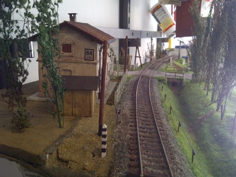 IMG-20131101-00410.jpg
