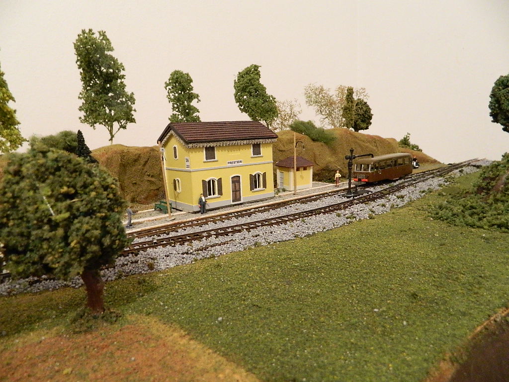 DSCN1617.jpg