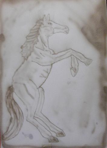 DSCF4949.JPG
