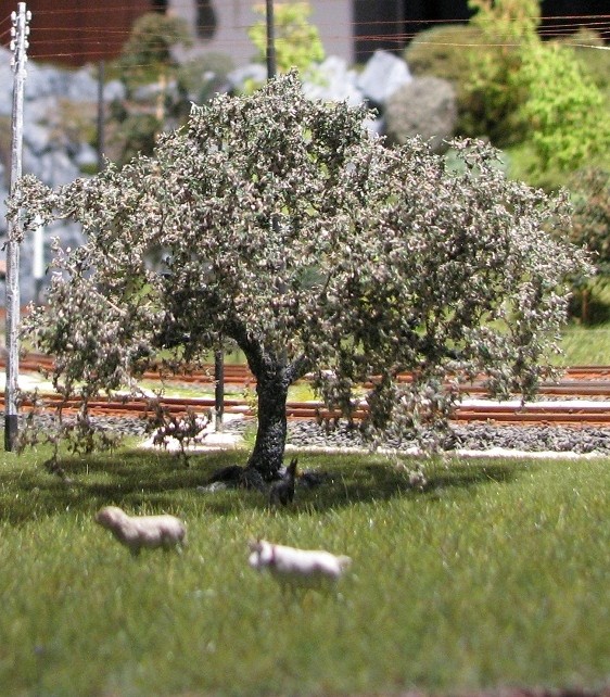 Alberi R1.JPG