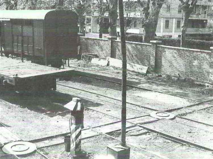 Treviso squadra rialzo 1979.05.05 Albè.jpg