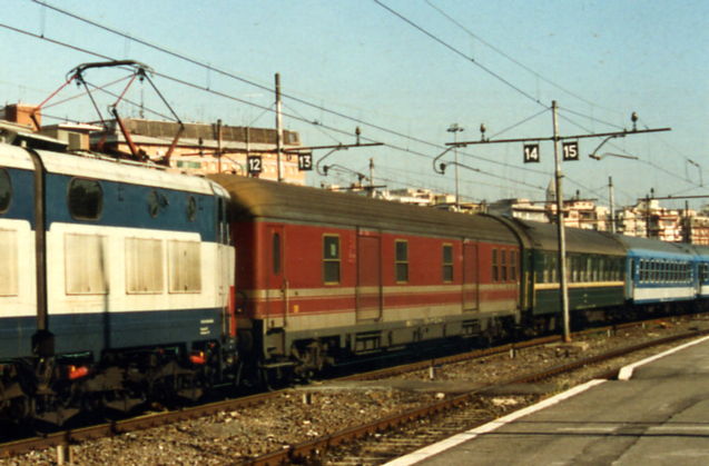 moscaroma9wk.jpg