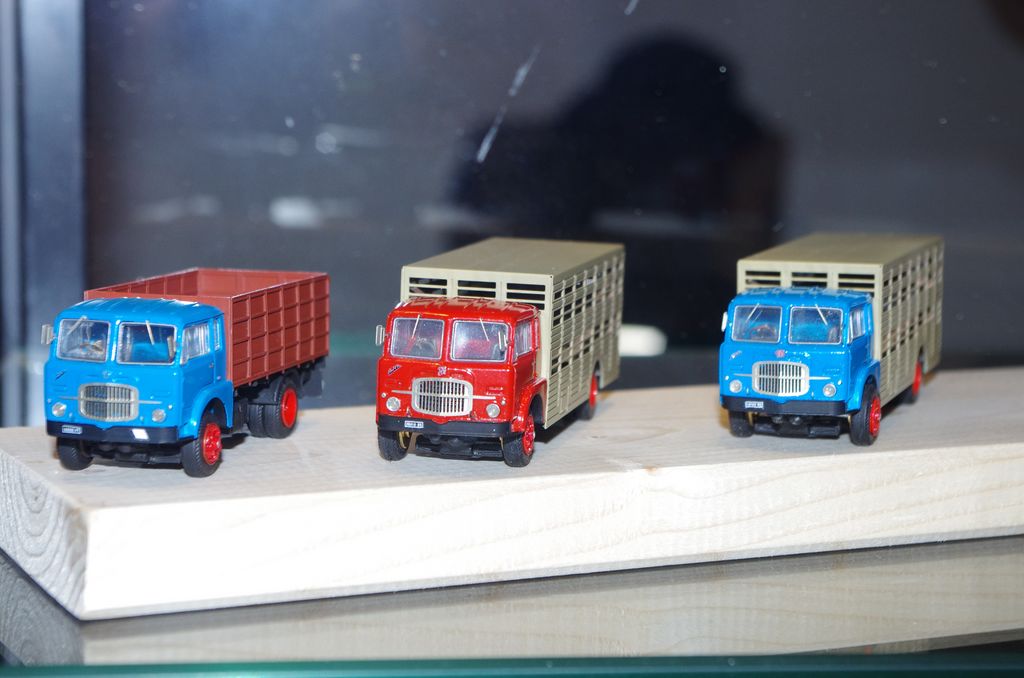 IMGP0950 [1024x768].JPG