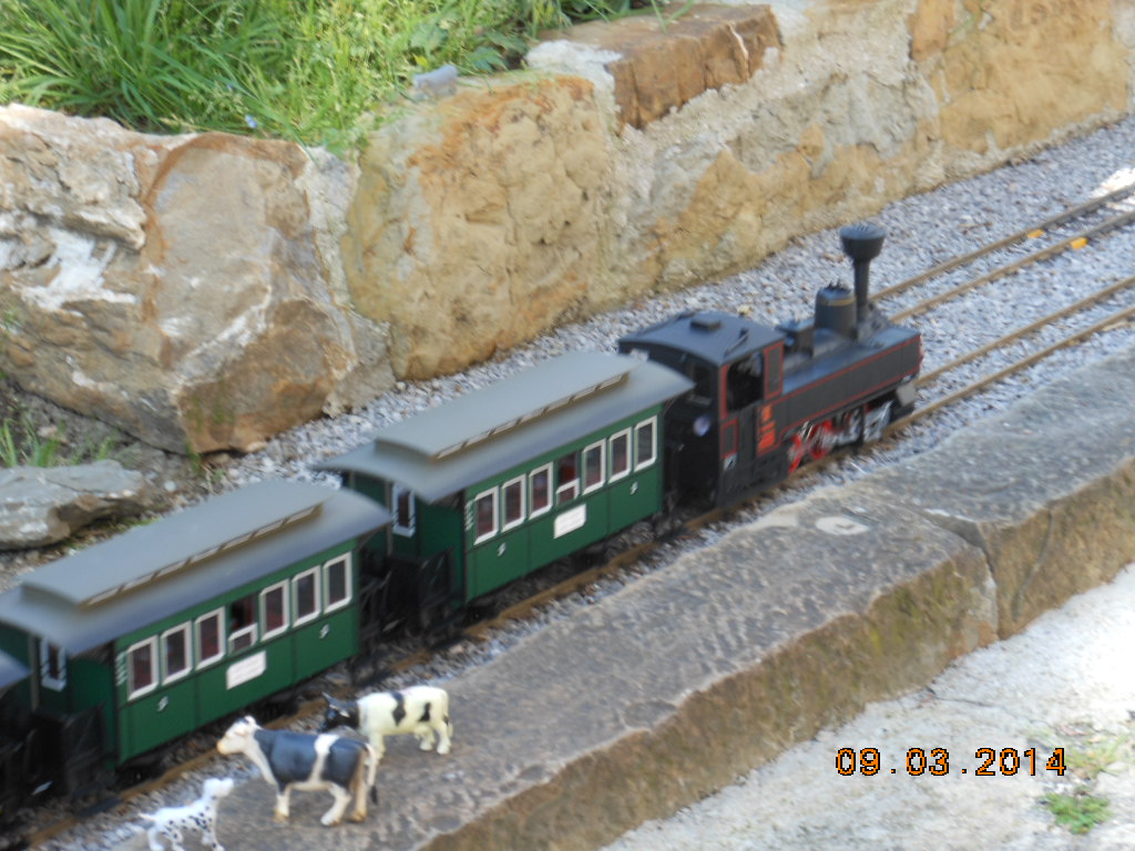 DSCN1203.JPG