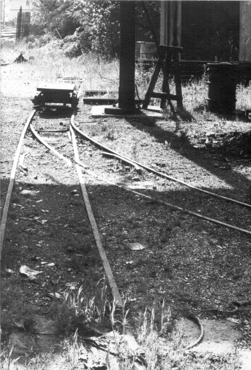 1 Treviso 1979 Albè.jpg