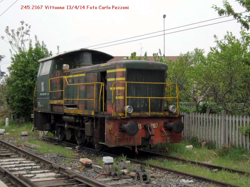 245.jpg