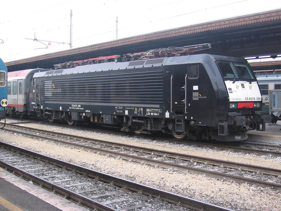 Verona P.N. 03 Marzo 2010 008.JPG