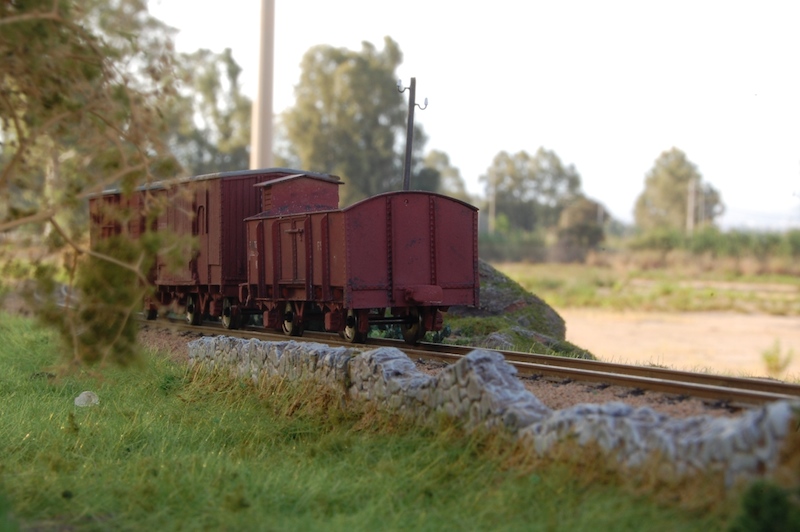 Copia di DSC_6168.jpg