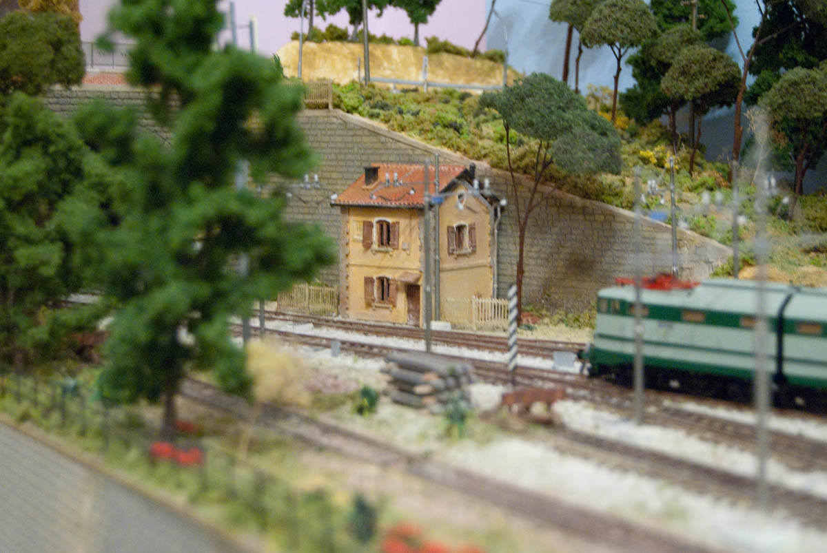 sr-base (1 of 16).jpg