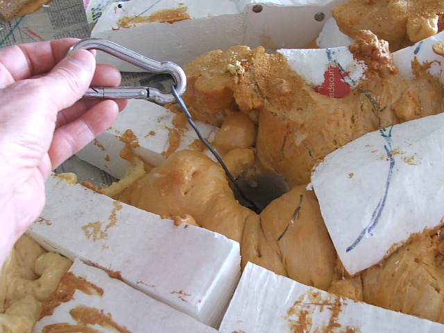 DSCF3014.JPG