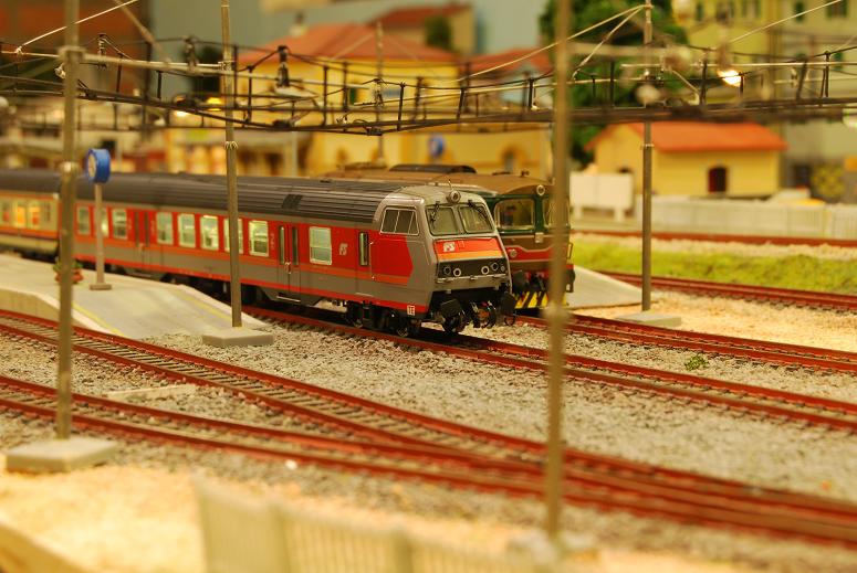DSC_0897.JPG