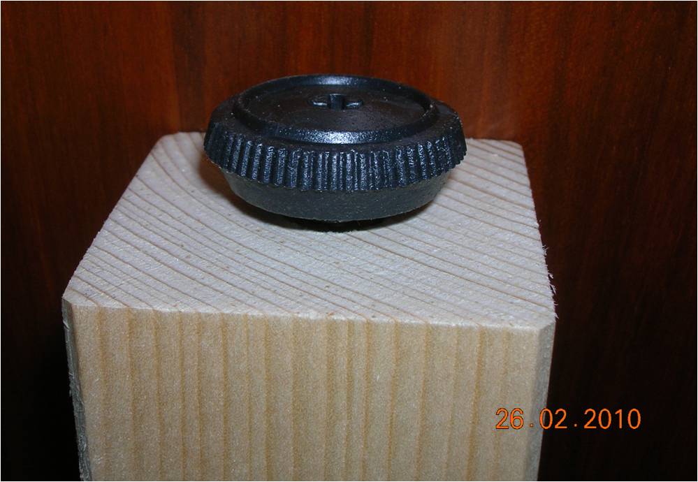 Zampa con piedino.jpg