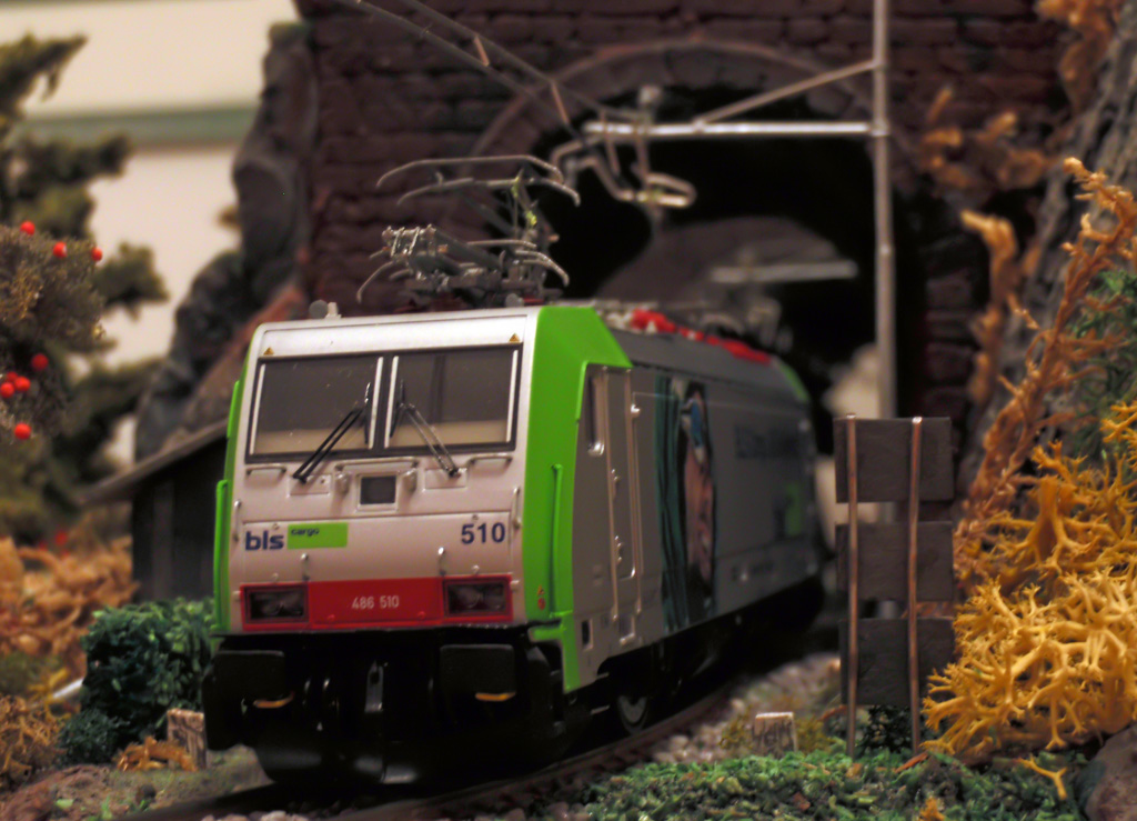 E486.510.jpg