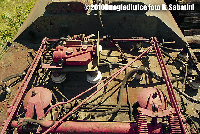 darbela424005.jpg