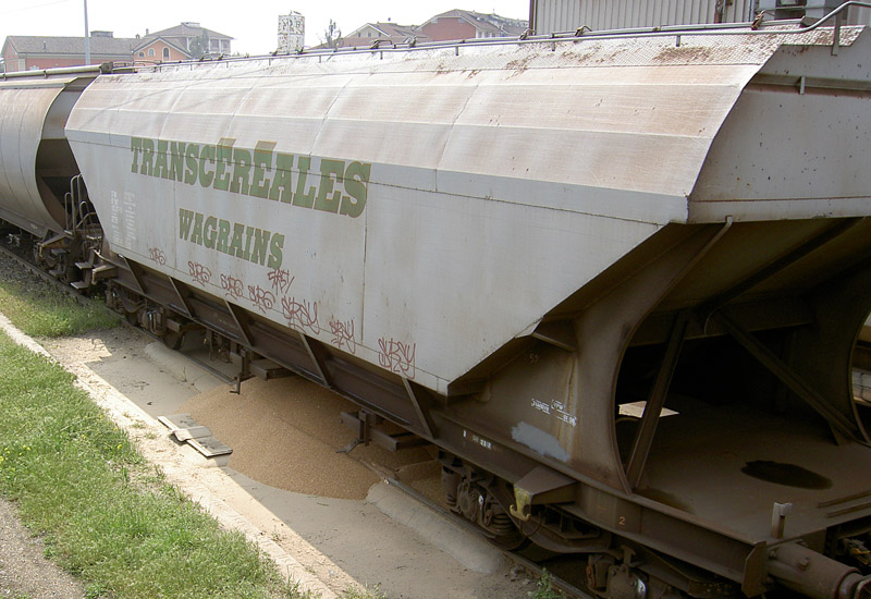 Scaricamento Transcereals.jpg