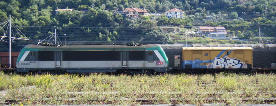 E 436 335 2013 Parco Roja.jpg