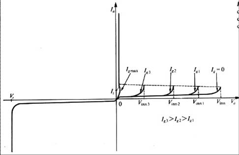 Immagine1.jpg