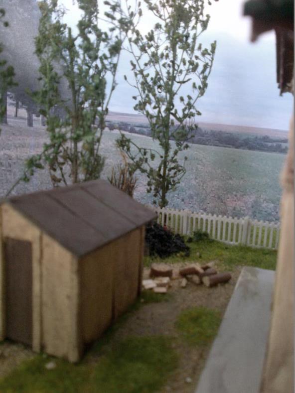 legna e carbone 02.jpg