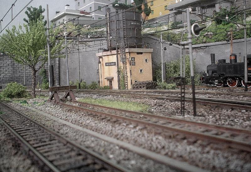 DSC07895 800  600.JPG