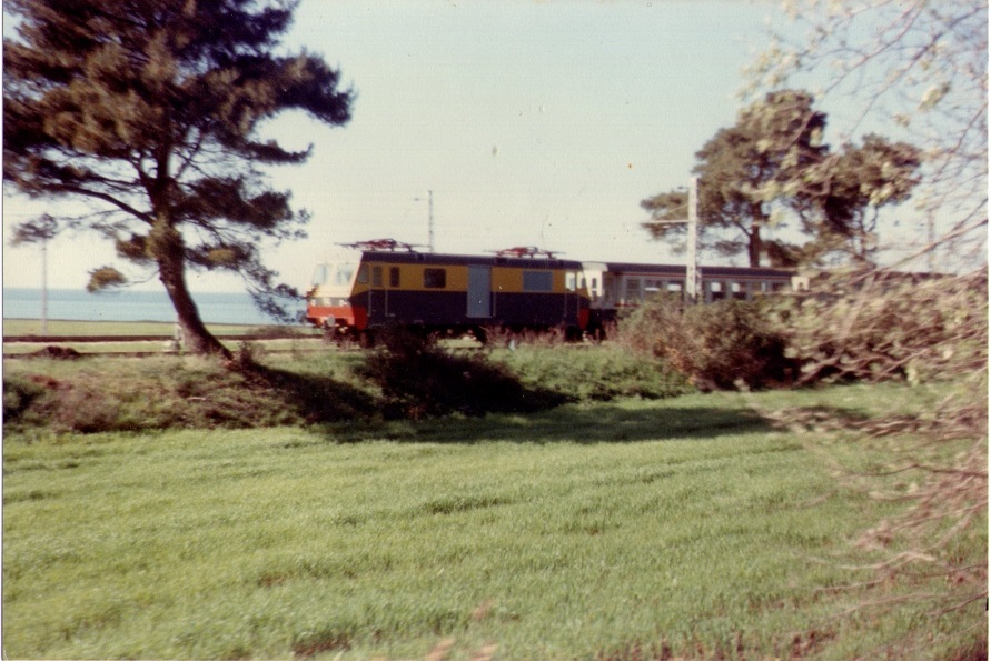 OLD85R.jpg