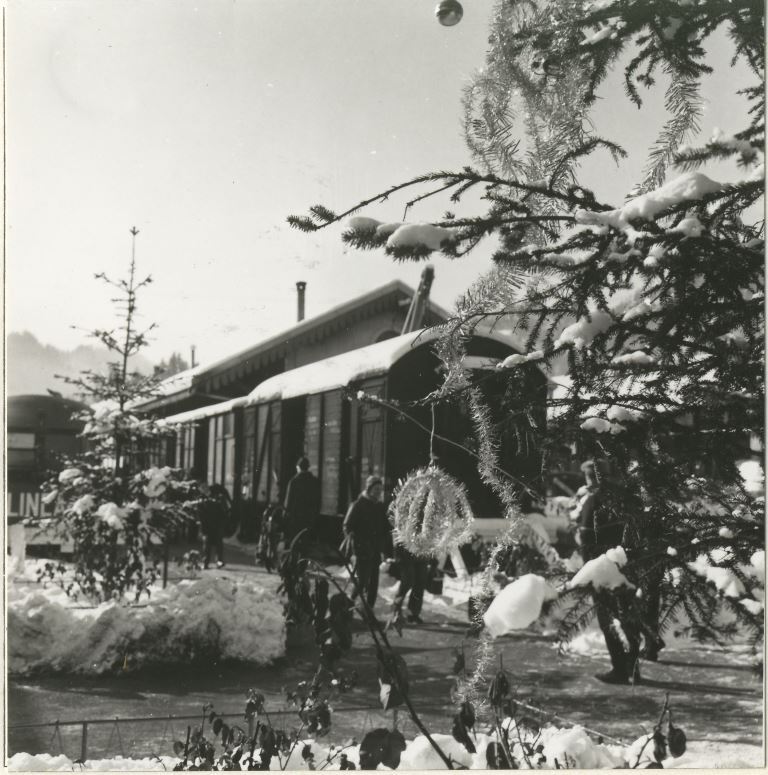 calalzo 2 foto FS.jpg