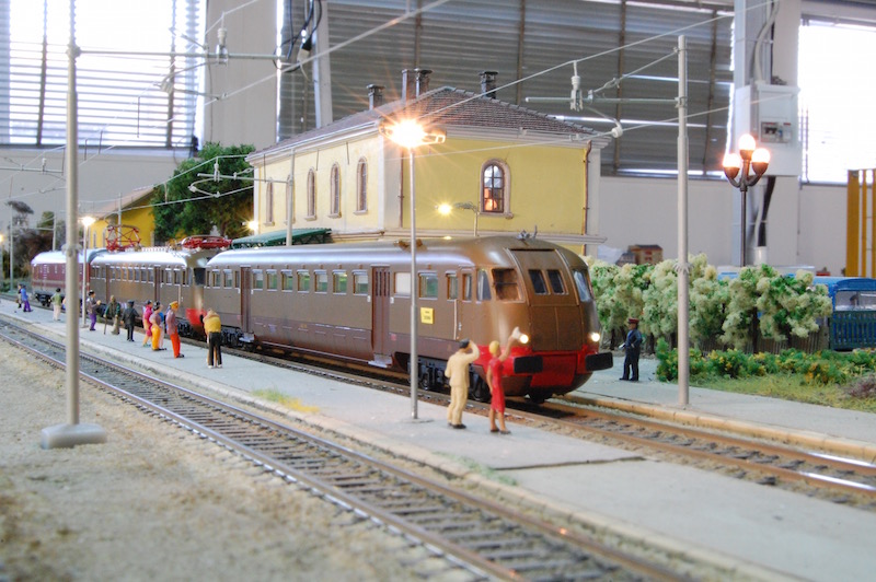 DSC_6565.jpg