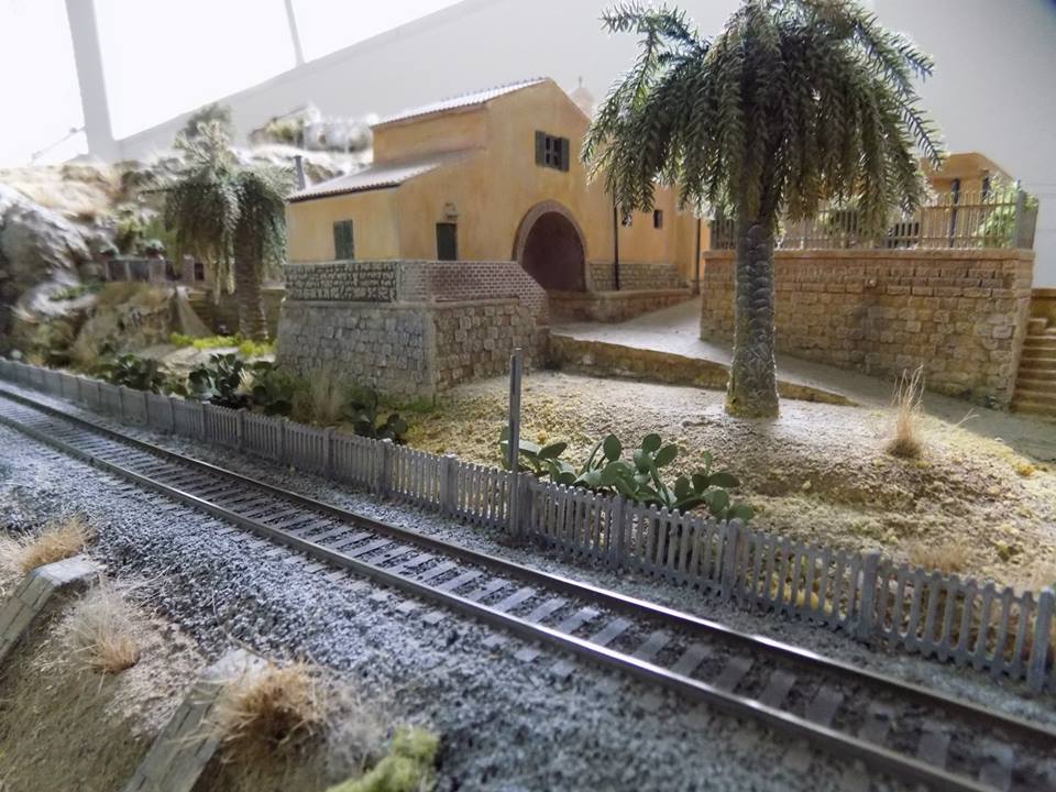 11219432_10205719385695789_3838155826114872127_n.jpg
