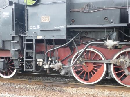 P1020500r.JPG