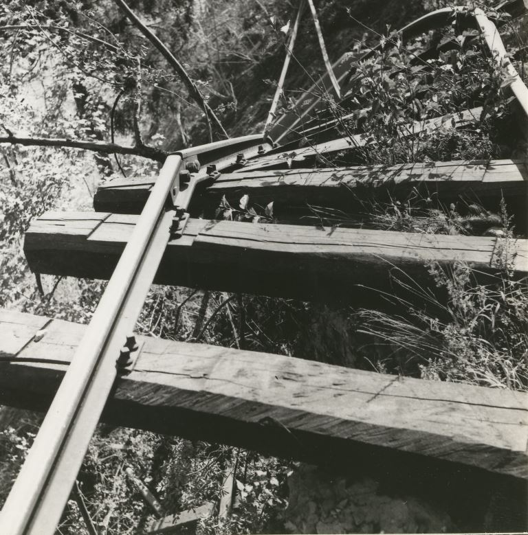 Longarone foto FS (15).jpg