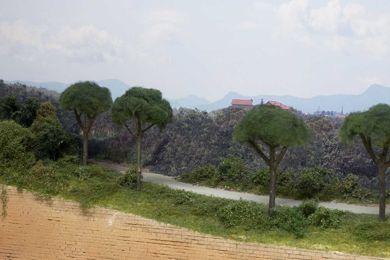Forum 03.jpg