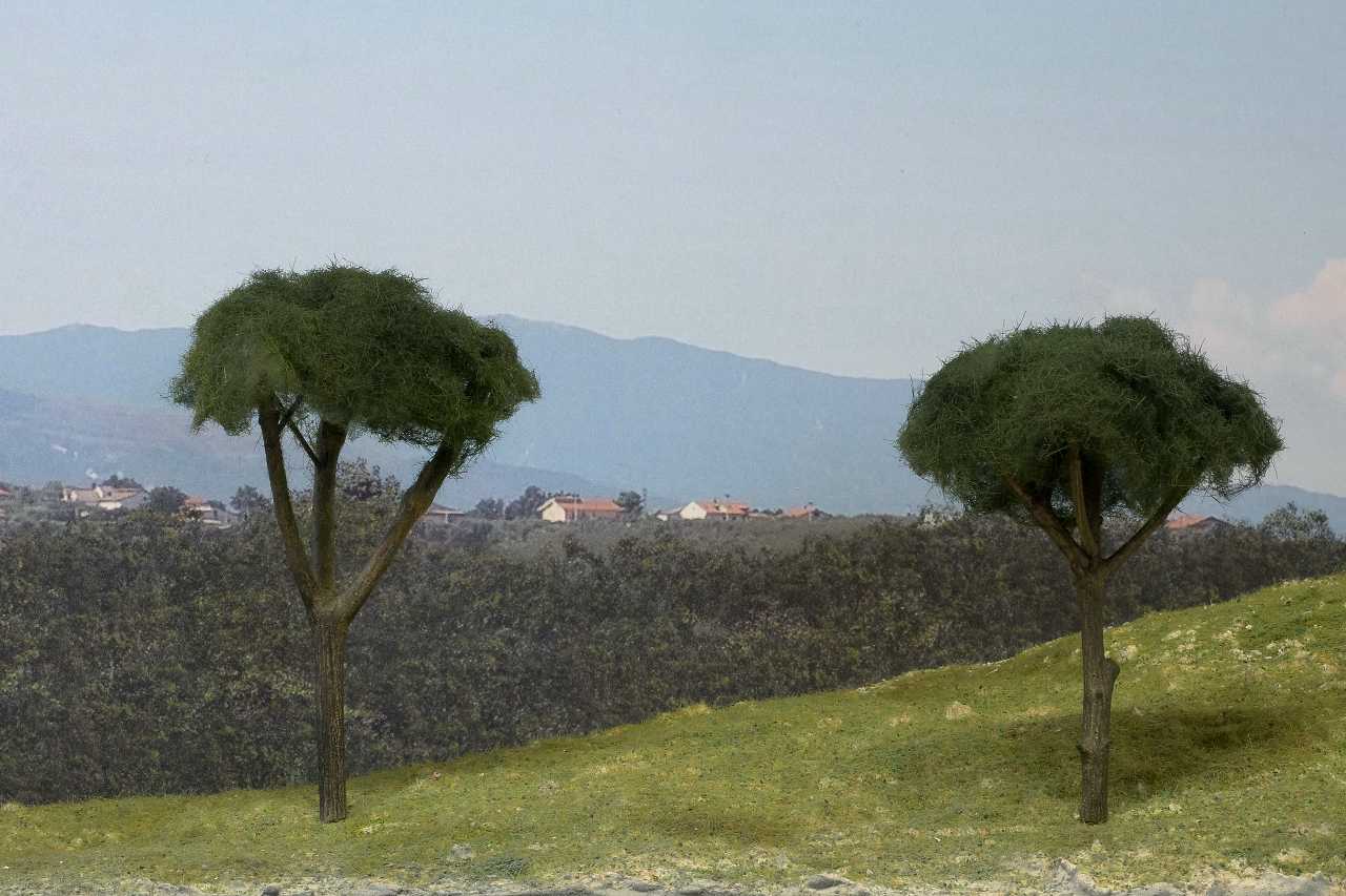 Forum 08.jpg