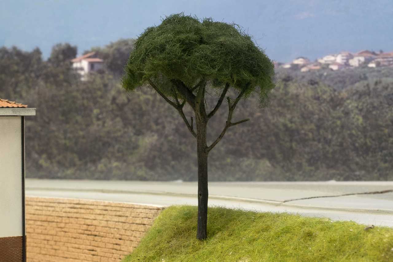 Forum 09.jpg