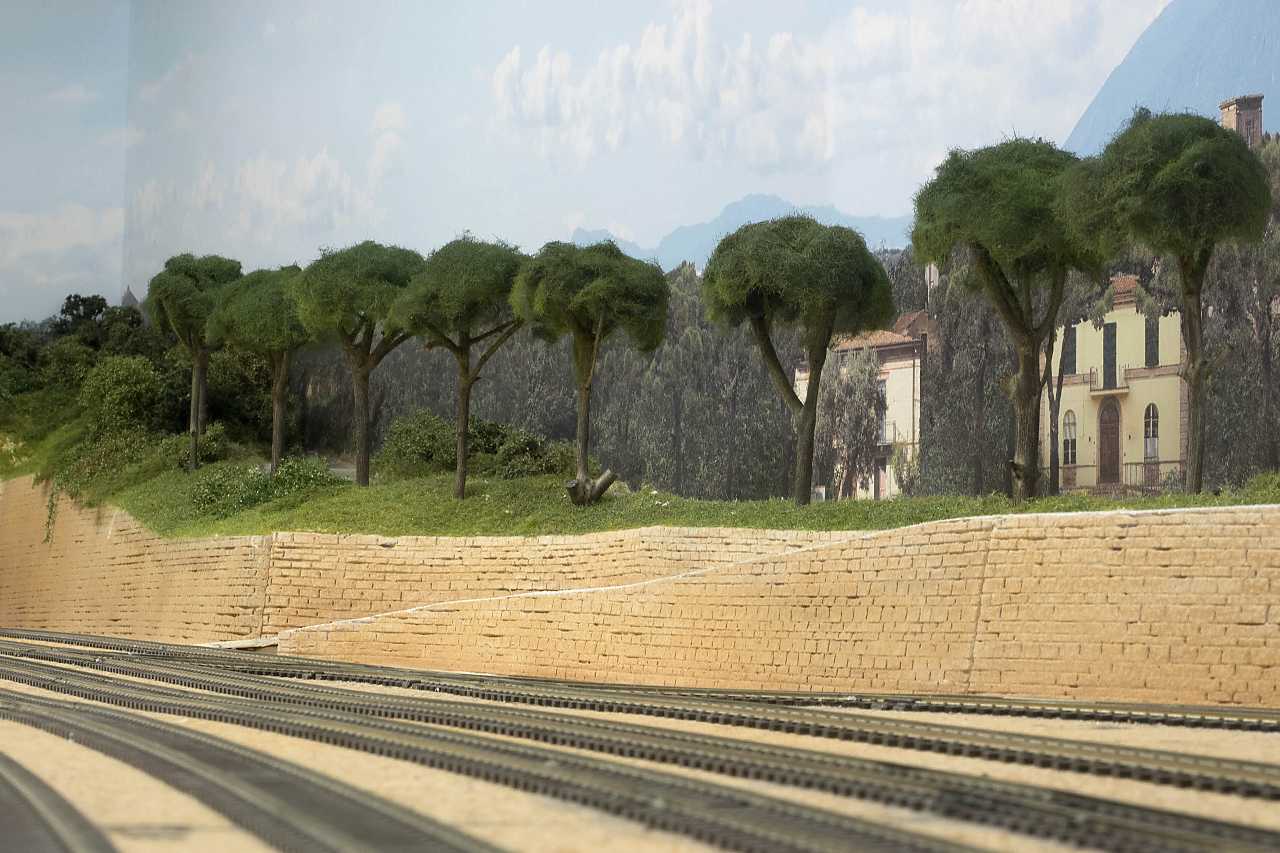 Forum 14.jpg