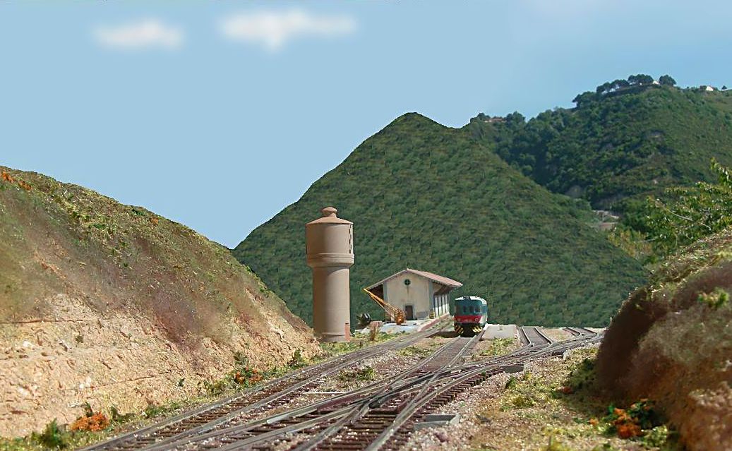 HPIM2750 - Copia.JPG