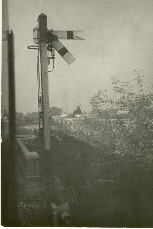 Varie_0011.JPG