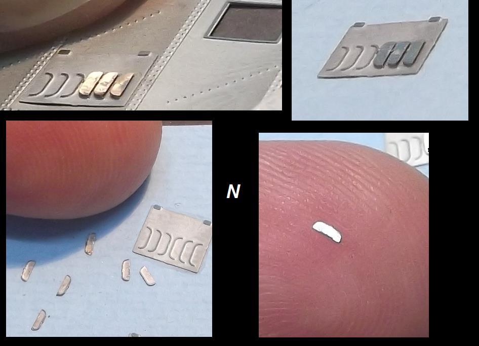 prese a aroecchie.JPG